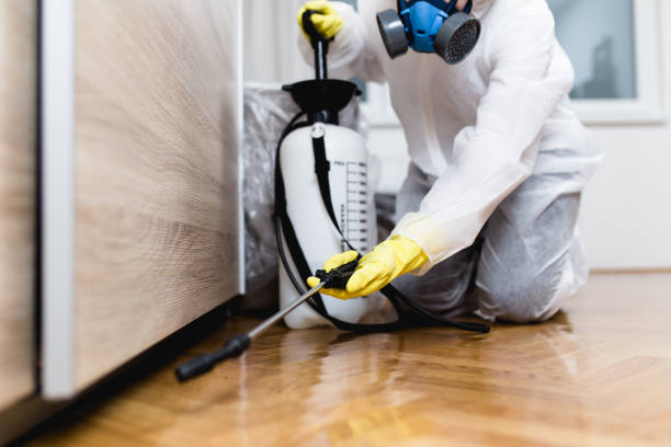 Reliable Romney, WV Pest Control Solutions
