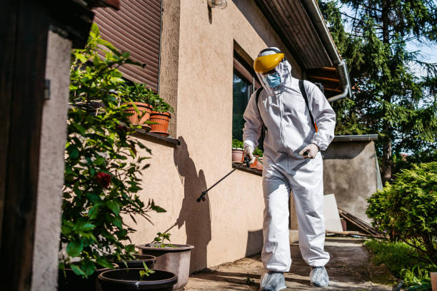 Best Pest Inspection Near Me  in Romney, WV