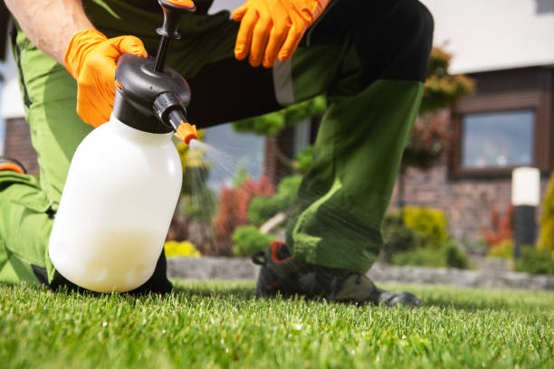 Best Exterminator Services  in Romney, WV